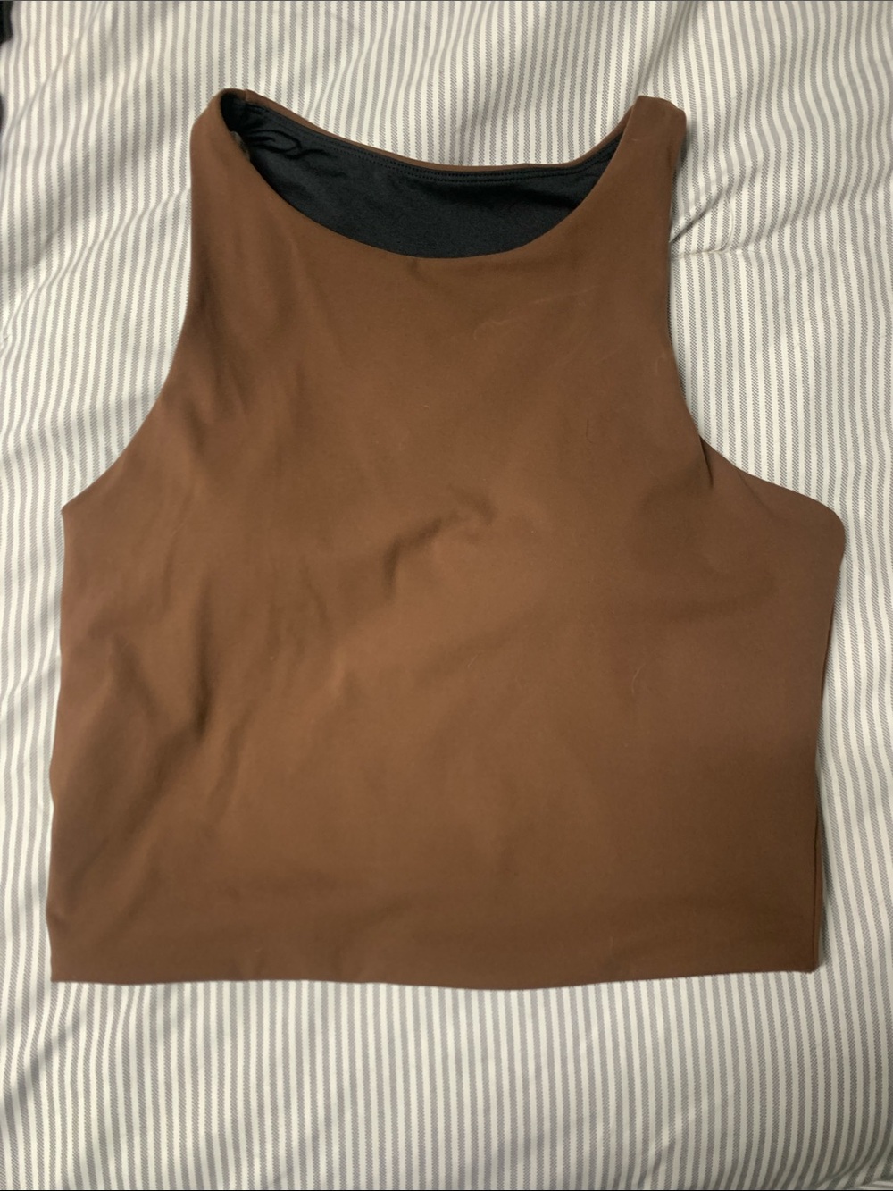 Zyia padded Brown High-Neck Crop Top